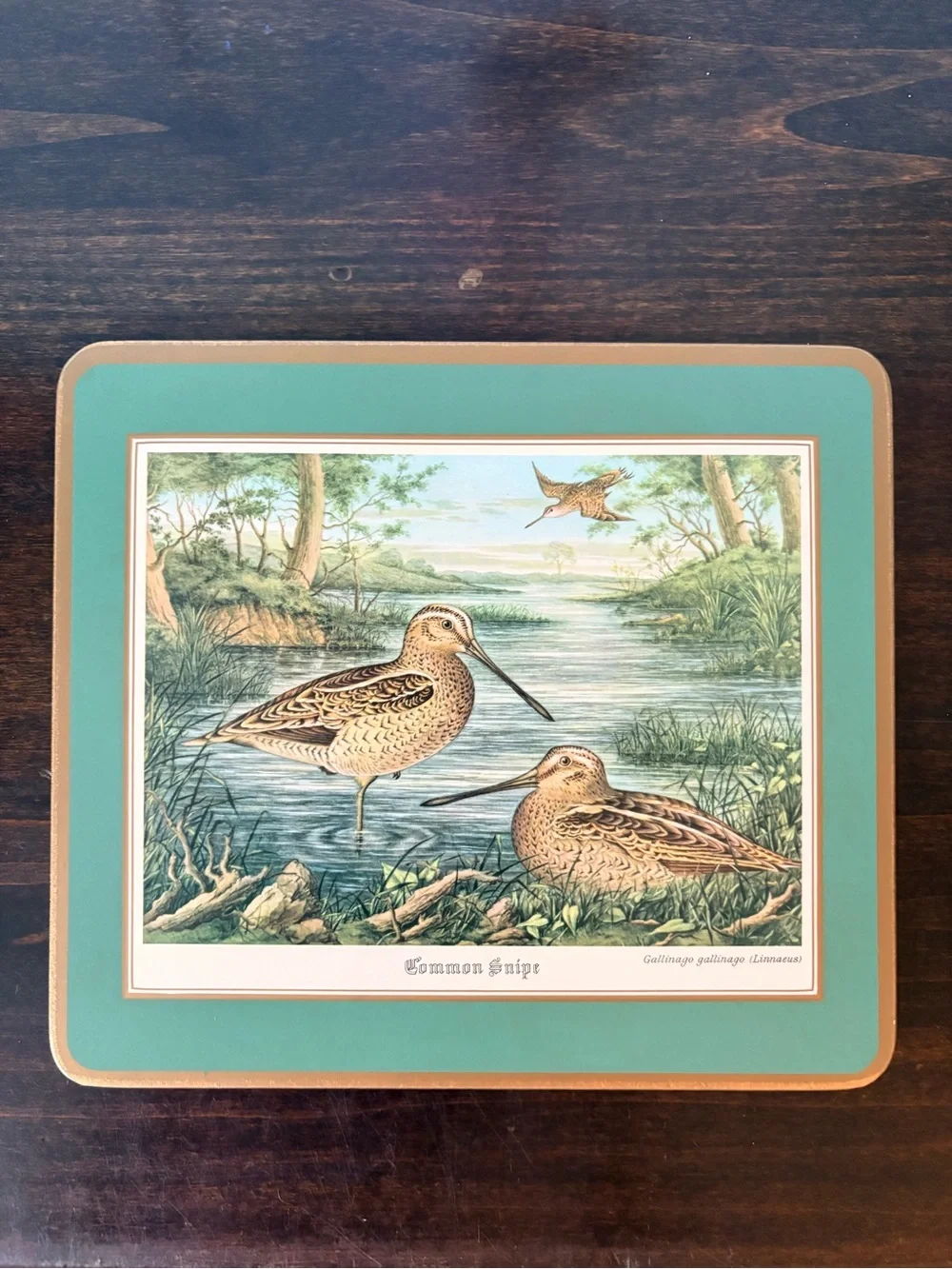 Set of 4 Vintage Pimpernel Waterfowl Print Cork Mats England